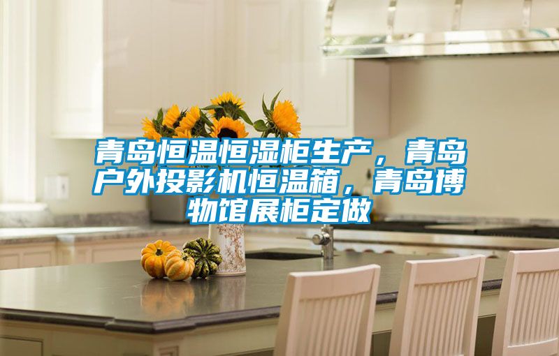青島恒溫恒濕柜生產(chǎn)，青島戶外投影機恒溫箱，青島博物館展柜定做