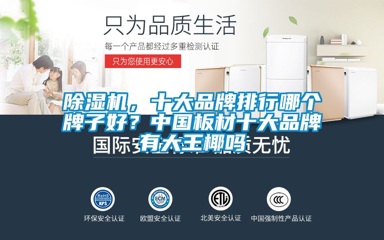 除濕機(jī)，十大品牌排行哪個牌子好？中國板材十大品牌有大王椰嗎