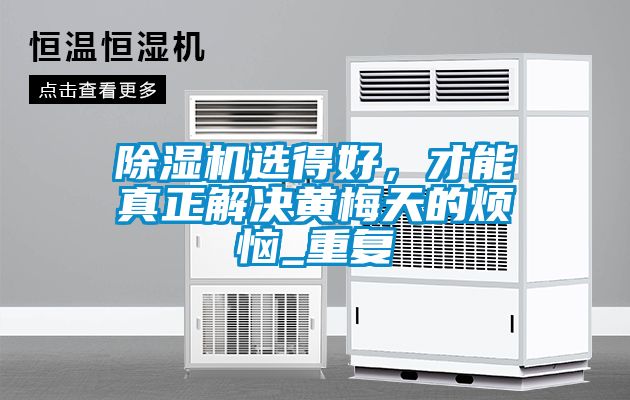 除濕機選得好，才能真正解決黃梅天的煩惱_重復