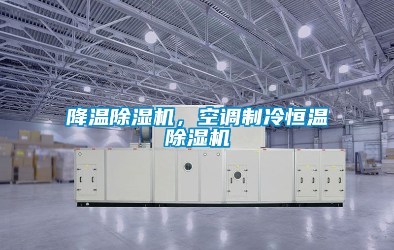 降溫除濕機，空調制冷恒溫除濕機