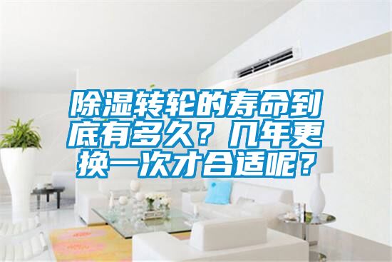 除濕轉(zhuǎn)輪的壽命到底有多久？幾年更換一次才合適呢？