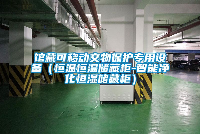 館藏可移動(dòng)文物保護(hù)專用設(shè)備（恒溫恒濕儲(chǔ)藏柜-智能凈化恒濕儲(chǔ)藏柜）