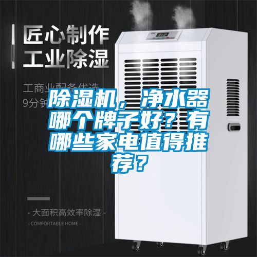 除濕機(jī)，凈水器哪個牌子好？有哪些家電值得推薦？