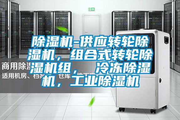 除濕機-供應(yīng)轉(zhuǎn)輪除濕機，組合式轉(zhuǎn)輪除濕機組， 冷凍除濕機，工業(yè)除濕機