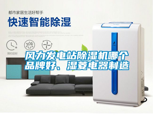 風(fēng)力發(fā)電站除濕機(jī)哪個(gè)品牌好、濕菱電器制造