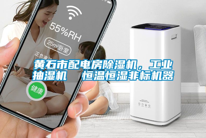 黃石市配電房除濕機(jī)，工業(yè)抽濕機(jī)  恒溫恒濕非標(biāo)機(jī)器