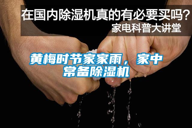 黃梅時(shí)節(jié)家家雨，家中常備除濕機(jī)