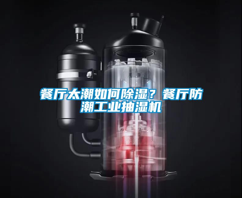 餐廳太潮如何除濕？餐廳防潮工業(yè)抽濕機