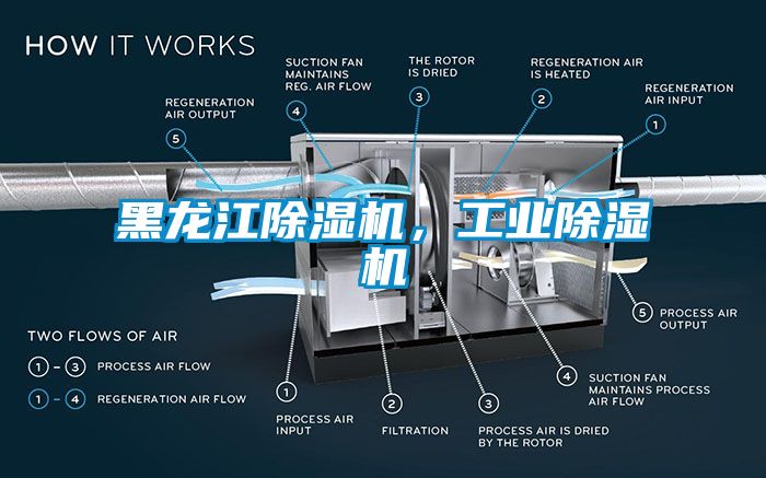 黑龍江除濕機(jī)，工業(yè)除濕機(jī)