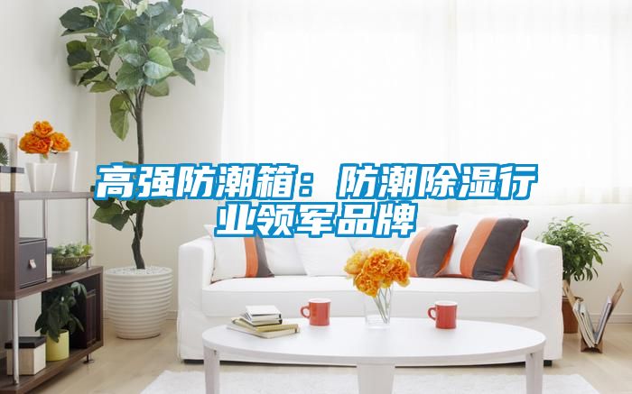 高強防潮箱：防潮除濕行業(yè)領軍品牌