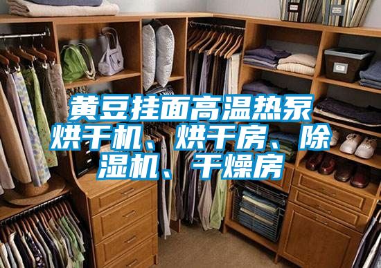 黃豆掛面高溫熱泵烘干機、烘干房、除濕機、干燥房