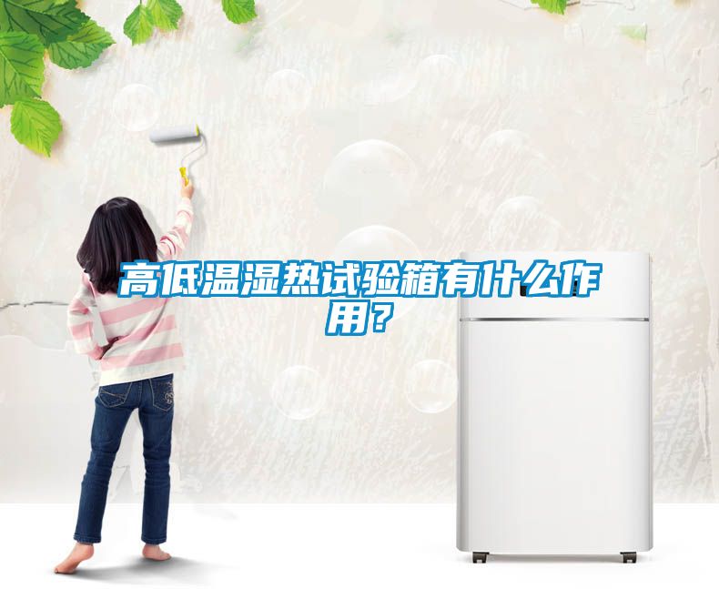高低溫濕熱試驗(yàn)箱有什么作用？