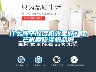 知識(shí)百科什么牌子除濕機(jī)效果好？國(guó)產(chǎn)優(yōu)質(zhì)除濕機(jī)品牌