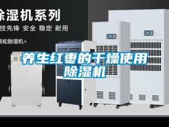 知識(shí)百科養(yǎng)生紅棗的干燥使用除濕機(jī)