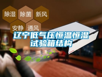 知識(shí)百科遼寧低氣壓恒溫恒濕試驗(yàn)箱結(jié)構(gòu)