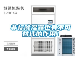 行業(yè)新聞非標(biāo)除濕器也有不可替代的作用！