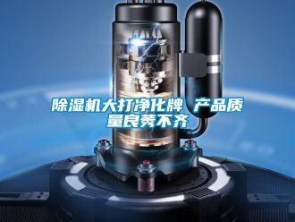 企業(yè)新聞除濕機大打凈化牌 產品質量良莠不齊