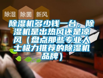 企業(yè)新聞除濕機多少錢一臺，除濕機是出熱風還是涼風（盤點那些專業(yè)人士極力推薦的除濕機品牌）