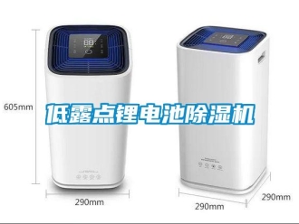 企業(yè)新聞低露點鋰電池除濕機