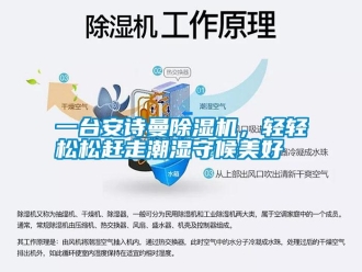 企業(yè)新聞一臺(tái)安詩曼除濕機(jī)，輕輕松松趕走潮濕守候美好