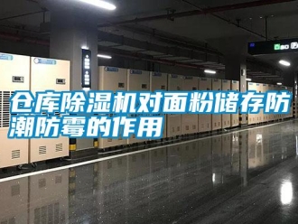 企業(yè)新聞倉庫除濕機對面粉儲存防潮防霉的作用