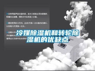 行業(yè)新聞冷媒除濕機(jī)和轉(zhuǎn)輪除濕機(jī)的優(yōu)缺點(diǎn)