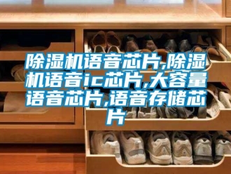 行業(yè)新聞除濕機(jī)語音芯片,除濕機(jī)語音ic芯片,大容量語音芯片,語音存儲(chǔ)芯片