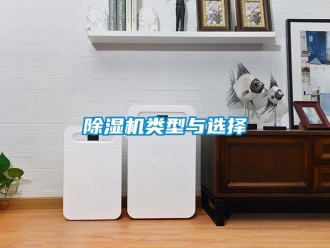 行業(yè)新聞除濕機(jī)類型與選擇