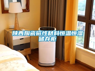 知識百科陜西陶瓷磁性材料恒溫恒濕儲存柜
