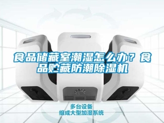 行業(yè)新聞食品儲(chǔ)藏室潮濕怎么辦？食品貯藏防潮除濕機(jī)