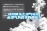 辣椒可以去濕氣嗎及去濕氣的食物有哪些？