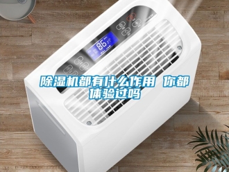 行業(yè)新聞除濕機(jī)都有什么作用 你都體驗(yàn)過(guò)嗎