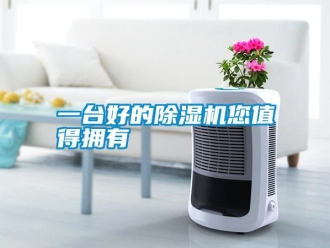 知識(shí)百科一臺(tái)好的除濕機(jī)您值得擁有