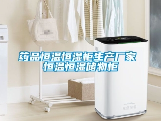 知識百科藥品恒溫恒濕柜生產(chǎn)廠家 恒溫恒濕儲物柜