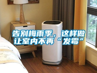 企業(yè)新聞告別梅雨季，這樣做讓室內(nèi)不再“發(fā)霉”