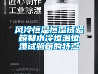 知識百科風(fēng)冷恒溫恒濕試驗(yàn)箱和水冷恒溫恒濕試驗(yàn)箱的特點(diǎn)