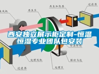 知識百科西安獨立展示柜定制-恒溫恒濕專業(yè)團(tuán)隊包安裝