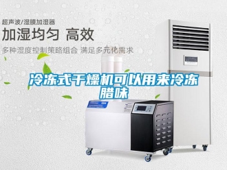 行業(yè)新聞冷凍式干燥機(jī)可以用來冷凍臘味