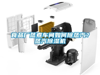企業(yè)新聞食品廠蒸煮車間如何除蒸汽？蒸汽除濕機(jī)