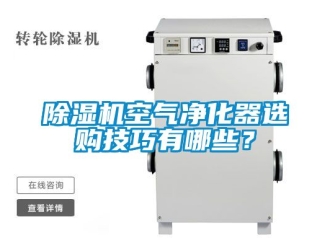 行業(yè)新聞除濕機(jī)空氣凈化器選購(gòu)技巧有哪些？