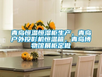 知識(shí)百科青島恒溫恒濕柜生產(chǎn)，青島戶外投影機(jī)恒溫箱，青島博物館展柜定做