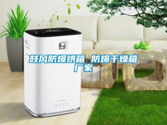 企業(yè)新聞鼓風(fēng)防爆烘箱 防爆干燥箱廠家