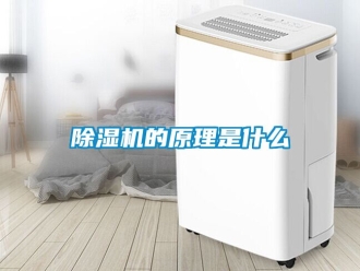企業(yè)新聞除濕機的原理是什么