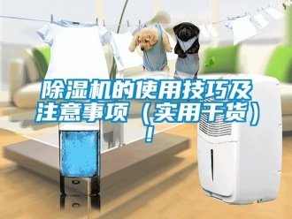 企業(yè)新聞除濕機(jī)的使用技巧及注意事項(xiàng)（實(shí)用干貨）！