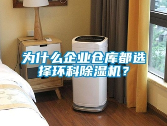 知識百科為什么企業(yè)倉庫都選擇環(huán)科除濕機(jī)？