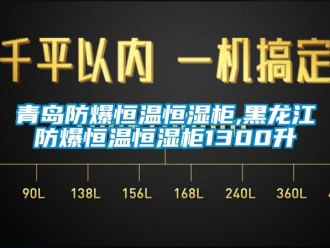 知識(shí)百科青島防爆恒溫恒濕柜,黑龍江防爆恒溫恒濕柜1300升