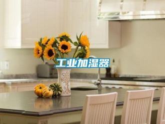 企業(yè)新聞工業(yè)加濕器