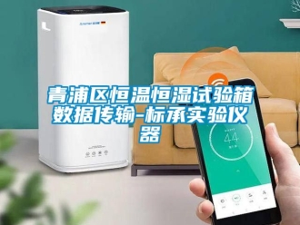 知識(shí)百科青浦區(qū)恒溫恒濕試驗(yàn)箱數(shù)據(jù)傳輸-標(biāo)承實(shí)驗(yàn)儀器