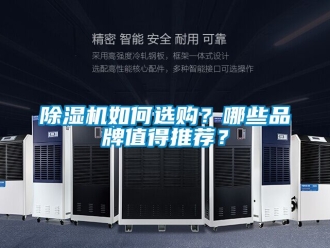 企業(yè)新聞除濕機如何選購？哪些品牌值得推薦？