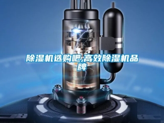 企業(yè)新聞除濕機(jī)選購吧,高效除濕機(jī)品牌
